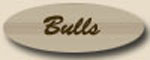 Black Brangus Bulls